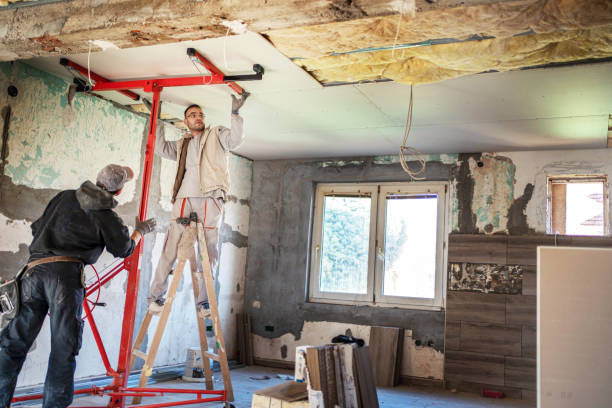 Best Cellulose Insulation in Rockingham, NC